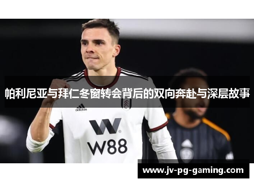 帕利尼亚与拜仁冬窗转会背后的双向奔赴与深层故事 帕利尼亚与拜仁冬窗转会背后的双向奔赴与深层故事