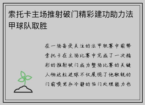 索托卡主场推射破门精彩建功助力法甲球队取胜